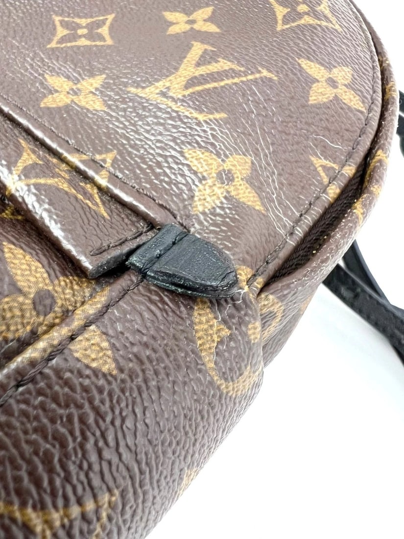 Louis Vuitton Palm Springs Mini Monogram Backpack Bag - 12