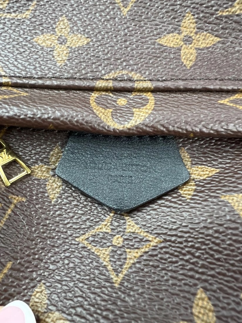 Louis Vuitton Palm Springs Mini Monogram Backpack Bag - 13