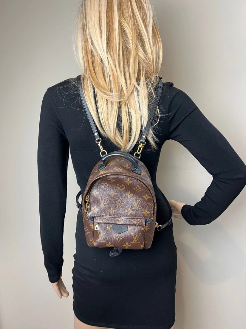 Louis Vuitton Palm Springs Mini Monogram Backpack Bag - 14