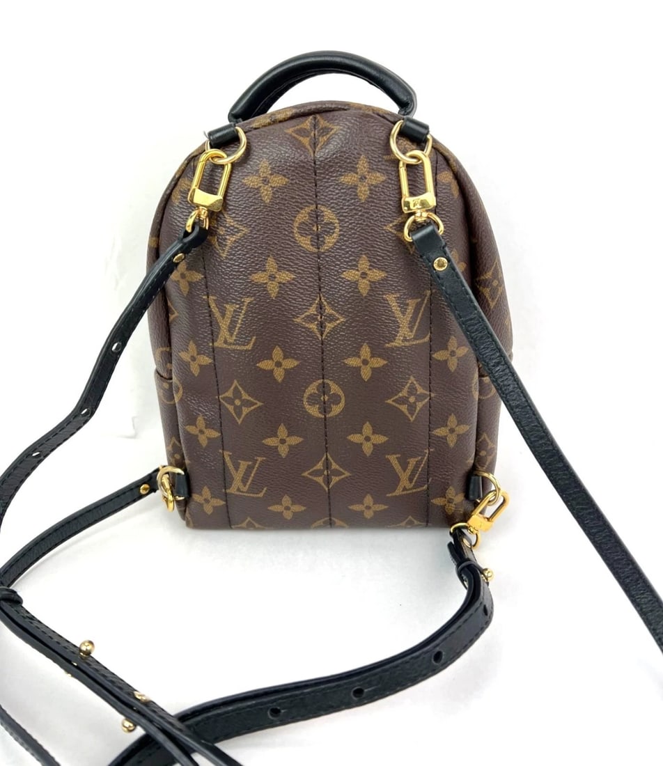 Louis Vuitton Palm Springs Mini Monogram Backpack Bag - 2