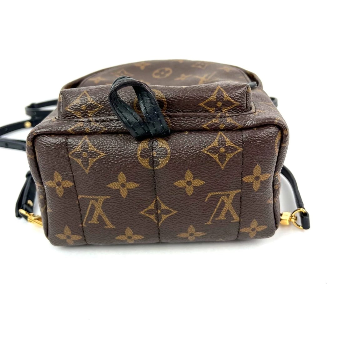 Louis Vuitton Palm Springs Mini Monogram Backpack Bag - 3