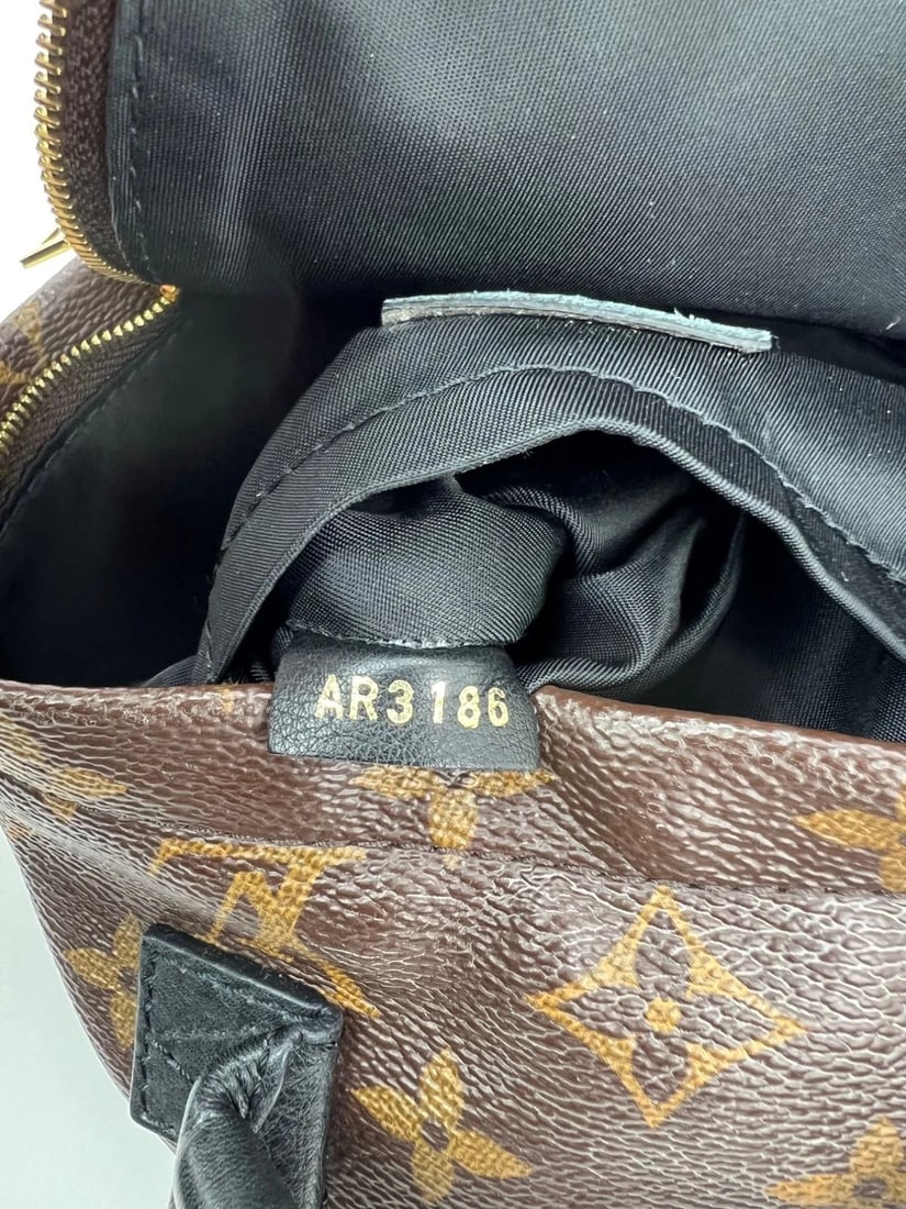 Louis Vuitton Palm Springs Mini Monogram Backpack Bag - 4