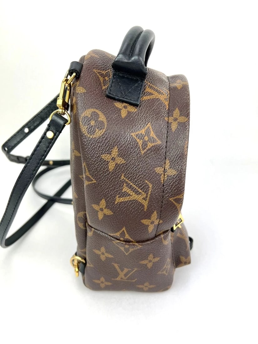 Louis Vuitton Palm Springs Mini Monogram Backpack Bag - 7