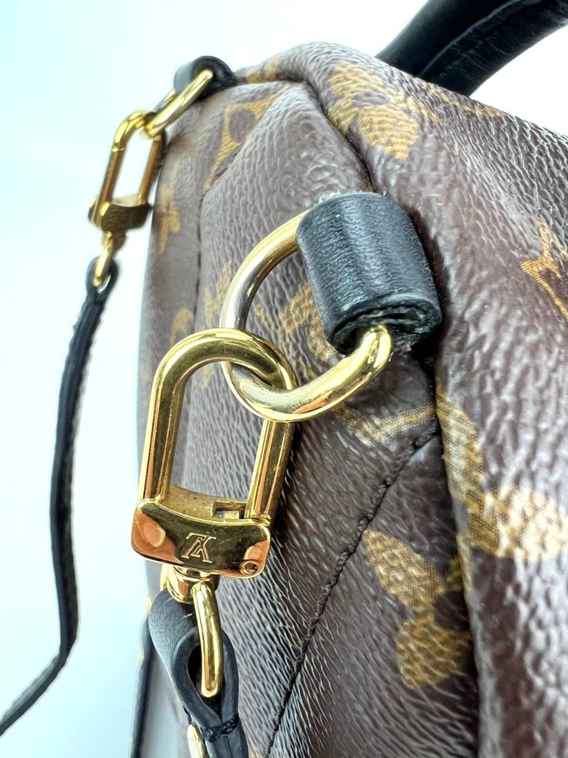 Louis Vuitton Palm Springs Mini Monogram Backpack Bag - 9