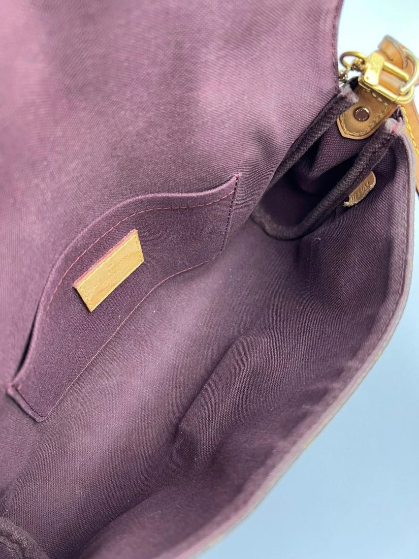 Louis Vuitton Favorite MM Monogram Crossbody Bag - 6
