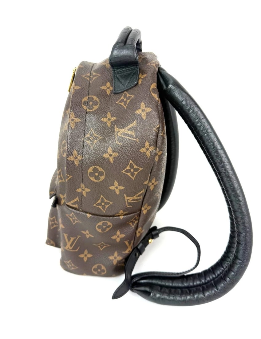 Louis Vuitton Backpack Palm Springs PM Monogram Canvas Backpack - 4