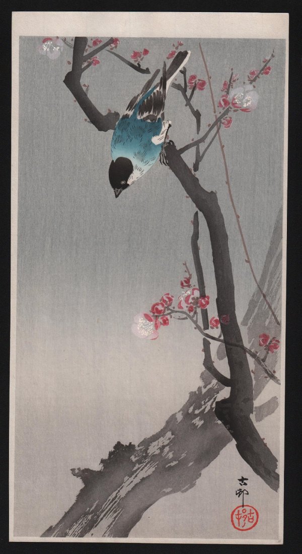 Ohara Koson - Bluebird on Flowering Branch, 1910 (1 of 1)