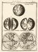 Division of the Planisphere. Allain Manesson Mallet.