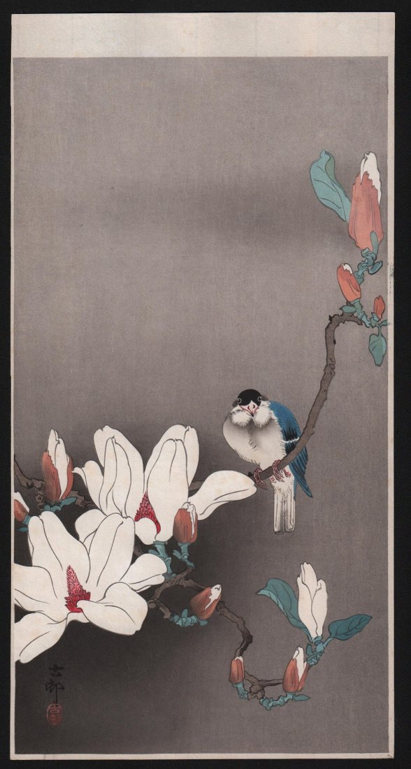 Ohara Koson - Bluebird on a Magnolia Branch: Artist: Ohara Koson Subject: Blue Bird on a Magnolia Branch Date: c. 1910's Size: Measures 7.5 x 14.5 inches Ohara Koson was a Japanese painter and printmaker of the late 19th and early 20th centuries