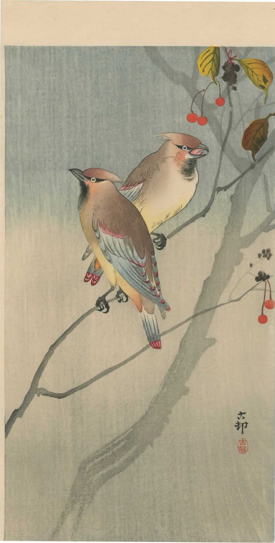 Ohara Koson - Two Waxwings on a Cherry Tree (1 of 2)