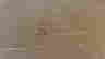 item-47841992=9