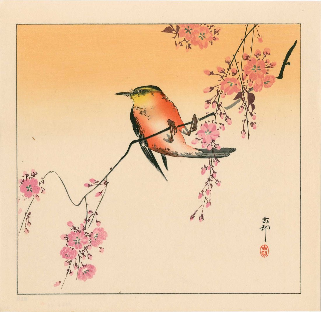 Ohara Koson - Songbird on a Flowering Cherry Blossom: Artist: Ohara Koson Subject: Songbird on a Flowering Cherry Blossom Date: 1930s Size: 11.25 x 10.8 inches Ohara Koson was a Japanese painter and printmaker of the late 19th and early 20th centuries an