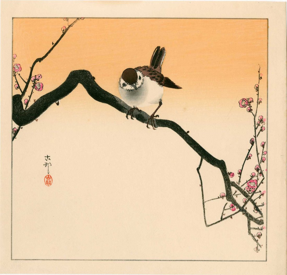 Ohara Koson - Sparrow on a Flowering Plum Branch (1 of 2)