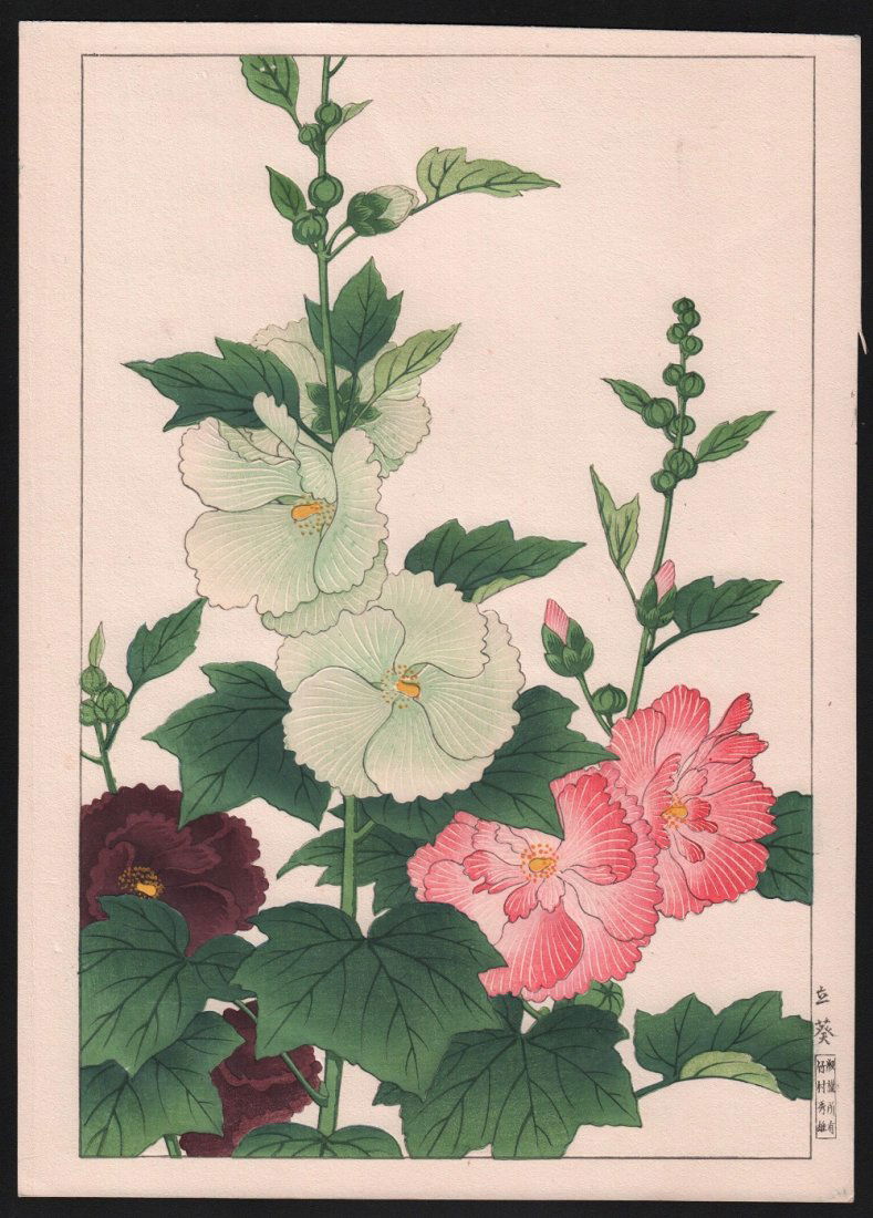 Nishimura Hodo - Hollyhock: Artist: Nishimura Hodo Subejct: Hollyhock Publisher: Takemura Hideo Size: 11 x 15.5 inches Nishimura Hodo was a Japanese artist who worked with publisher Takemura Hideo. Most of his prints were made i