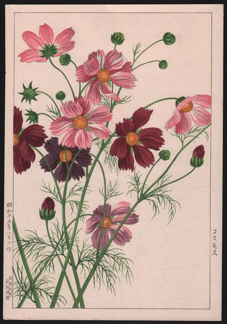 Nishimura Hodo - Red & Pink Cosmos (1 of 1)