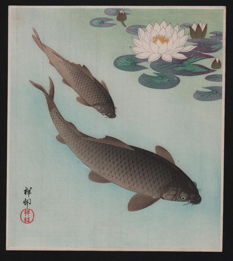 Ohara Koson - 2 Carp and Water Lily Pad (1 of 1)