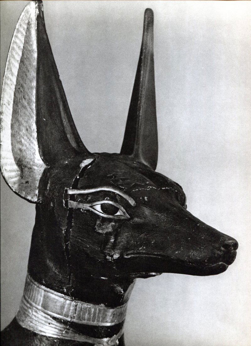 Andre Vigneau: Tete de Chacal (1 of 1)