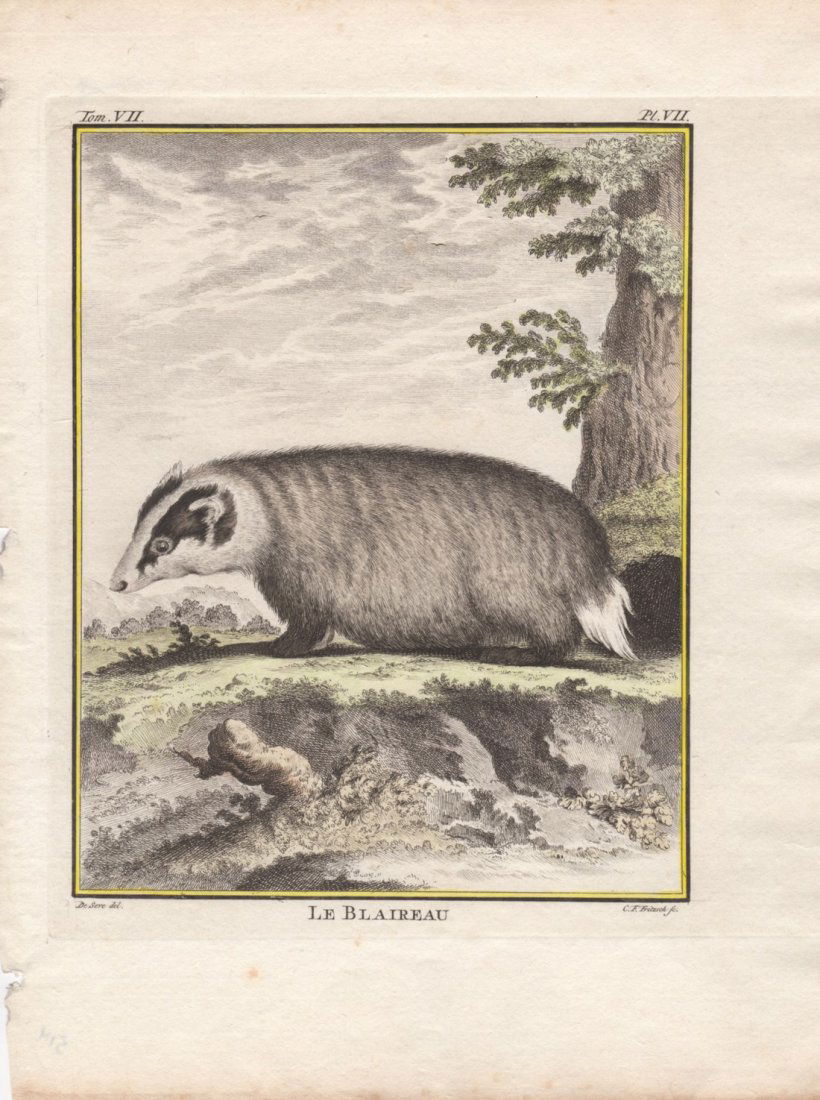 Le Blaireau, Jacques De Seve 1778-81 (1 of 1)