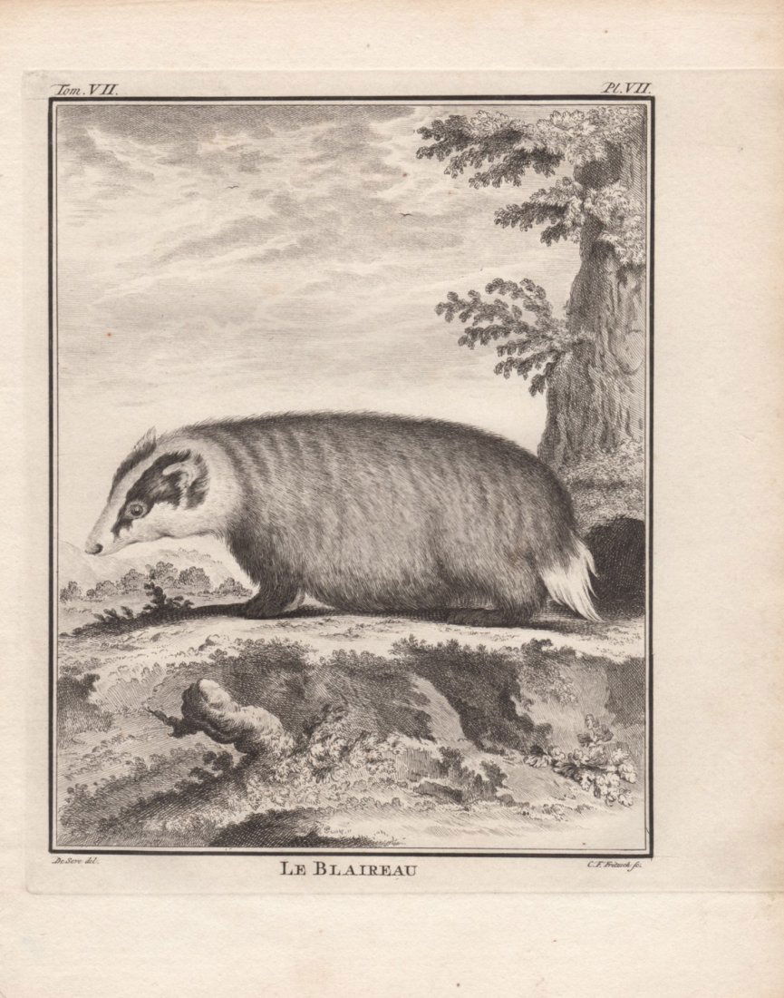 Le Blaireau, Jacques De Seve 1778-81 (1 of 1)