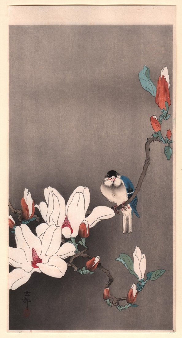 Ohara Koson: Blue Bird on Flowering Branch, 1910's: Artist: Ohara Koson Title: Blue Bird on Flowering Branch Date: ca. 1910's Size: 7.5 x 14.25 inches Medium: Japanese woodblock print Ohara Koson (1877-1945) was a Japanese painter and printmaker of the