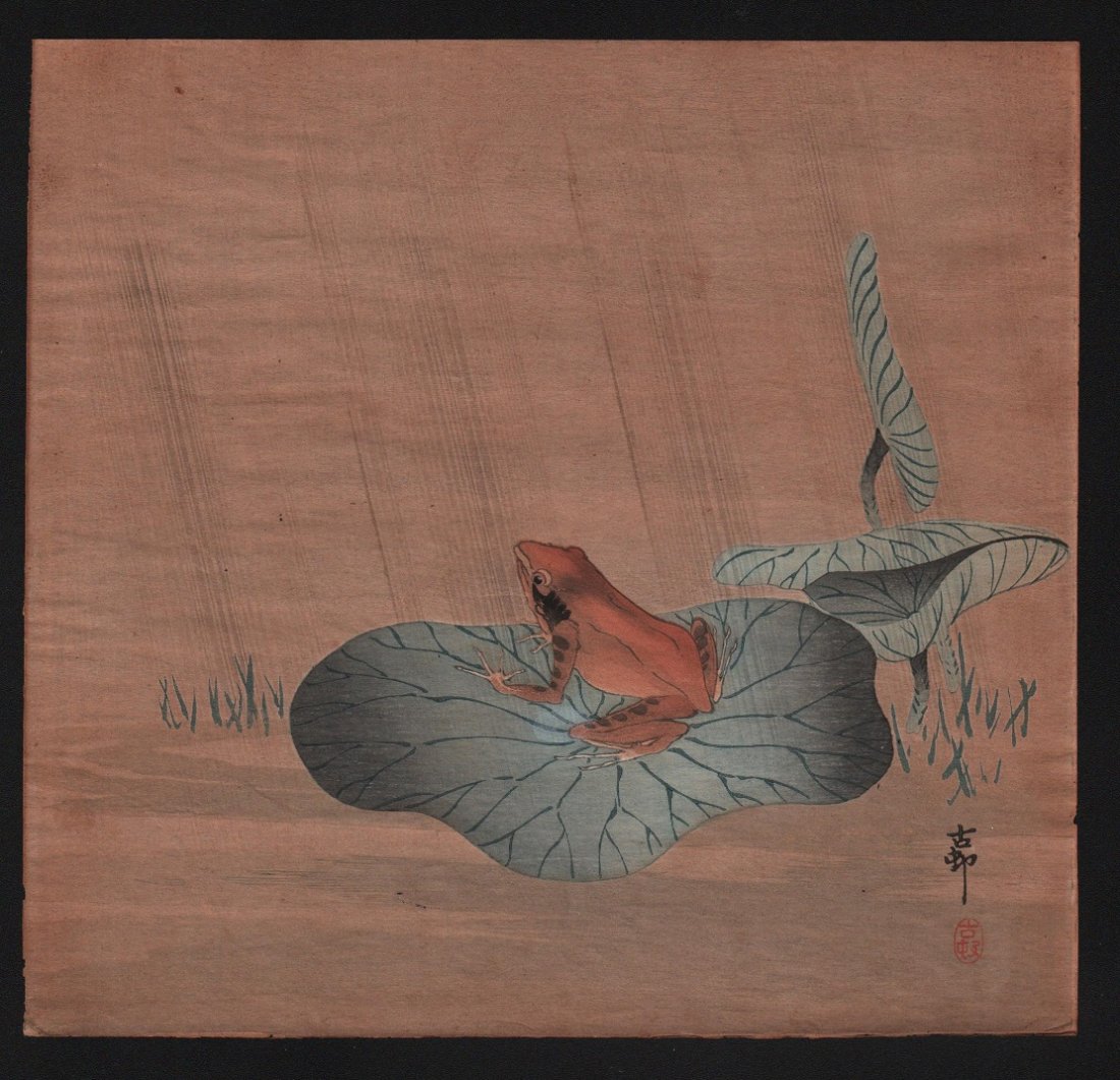 Ohara Koson: Frog on Lotus Leaf, 1910's (1 of 1)