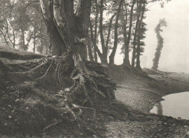 Josef Sudek: Troja Island: Title: Troja Island Artist: Josef Sudek Date: 1976 Printer: Roto-Sadag, SA Origin: Geneva, Switzerland Medium: Sheet-fed Copperplate Gravure Image Size: 9 x 7 inches Josef Sudek (1896 - 1976) was a Cz