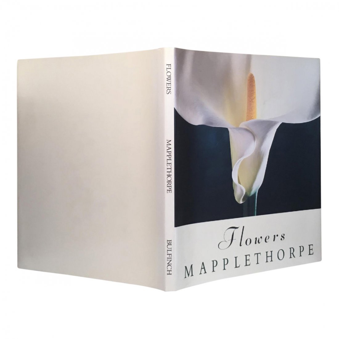 Mapplethorpe: Flowers (1 of 5)