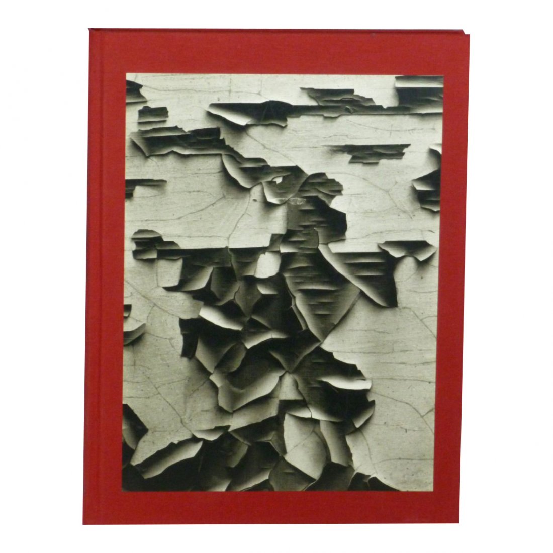 Aaron Siskind: 100 (1 of 1)