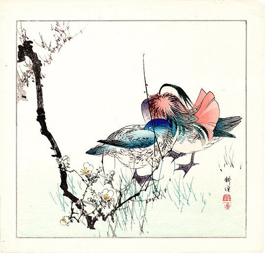 Okakura Seiko: Two Mandarin Ducks, 1910 (1 of 1)