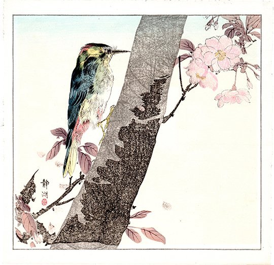Okakura Seiko: Wood Pecker, 1910: Artist: Okakura Seiko Title: Wood Pecker Date: Circa 1910 Medium: Japanese woodblock print Size: 10 x 9 inches (plus margins) Seiko Okyhara (1837-1918) was a female Japanese painter during the 19th ce