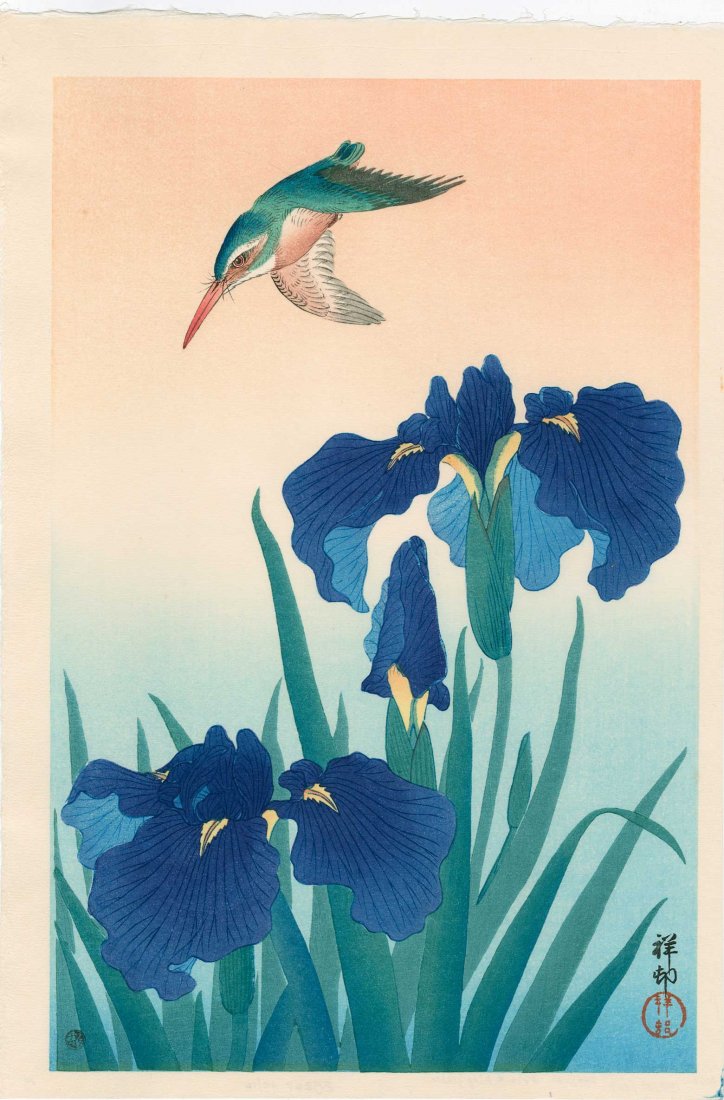 Ohara Koson: Kingfisher and Blue Iris, 1926: Artist: Ohara Koson Title: Kingfisher and Blue Iris Date: 1926 Medium: Japanese woodblock print Size: 10.25 x 15.5 inches Ohara Koson (1877-1945) was a Japanese painter and printmaker of the late 19th