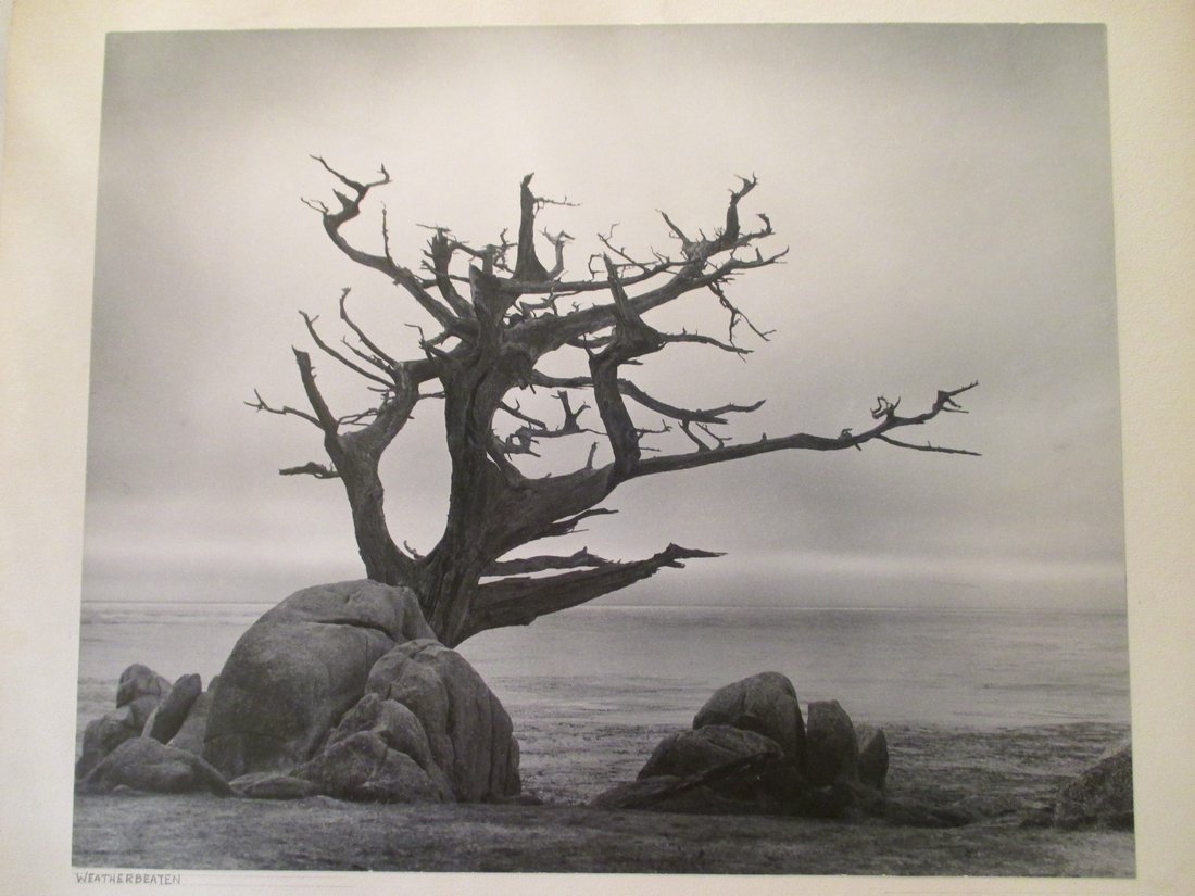 John T. Caldwell Jr: Pacific Shores (1 of 1)