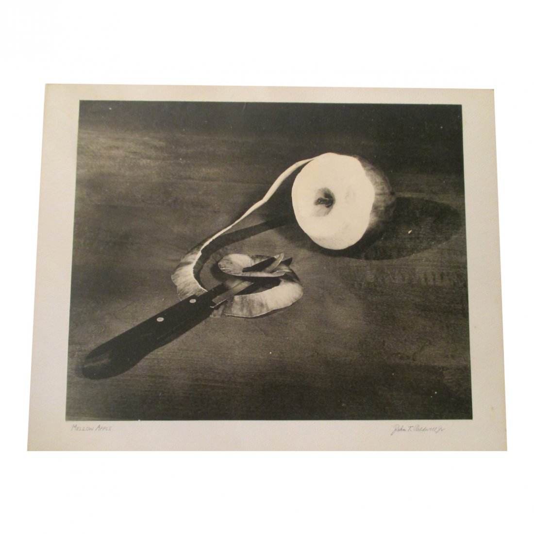 John T. Caldwell Jr: Mellow Apple: Photo Title: Mellow Apple Photographer: John T. Caldwell Jr. Size: 13.50 x 16.75 inches Medium: Original photograph Caldwell was a well known photographer In Jackson Miss. He was a member of APSA. His