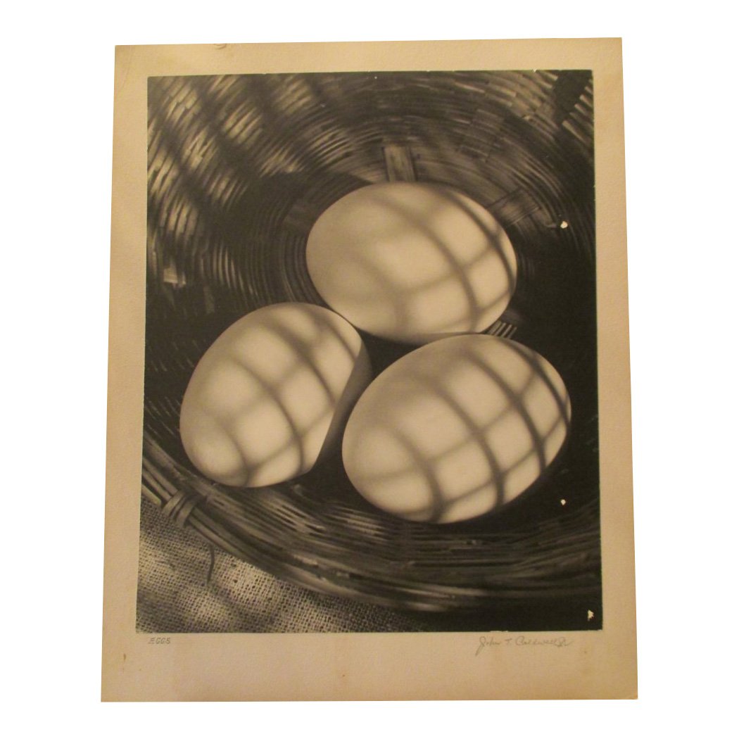 John T. Caldwell Jr: Eggs: Photo Title: Eggs Photographer: John T. Caldwell Jr. Size: 13.75 x 16.75 inches Medium: Original photograph Caldwell was a well known photographer In Jackson Miss. He was a member of APSA. His address