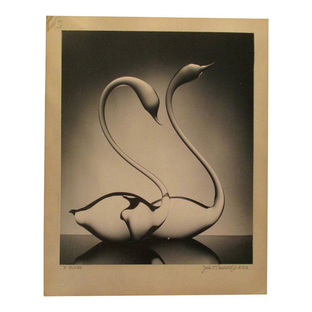 John T. Caldwell Jr: S Curves: Photo Title: S Curves Photographer: John T. Caldwell Jr. Size: 13.75 x 16.50 inches Medium: Original photograph Caldwell was a well known photographer In Jackson Miss. He was a member of APSA. His add