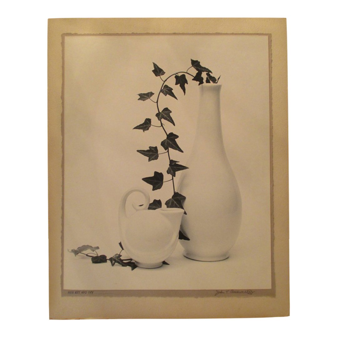 John T. Caldwell Jr: High Key and Ivy: Photo Title: High Key and Ivy Photographer: John T. Caldwell Jr. Size: 13.25 x 16.75 inches Medium: Original photograph Caldwell was a well known photographer In Jackson Miss. He was a member of APSA.