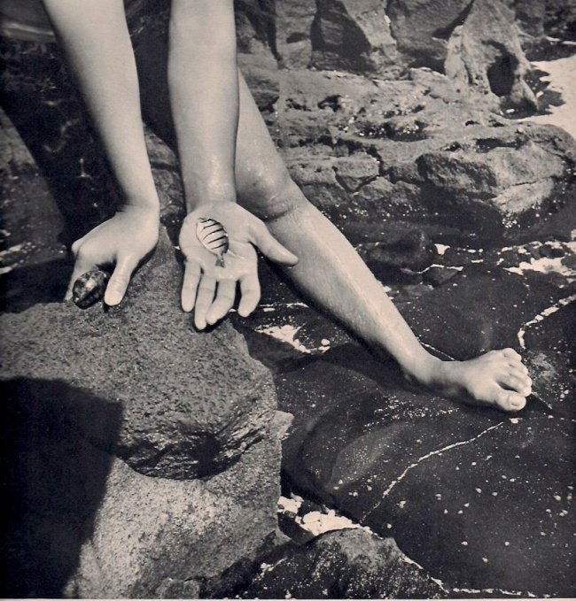 Louise Dahl-Wolfe: Poisson Mort: Gravure Title: Poisson Mort Artist: Louise Dahl-Wolfe Date: 1940 Medium: Sheet-fed Gravure Printer: La Neogravure Company, France Image Size: 9 x 9 inches Louise Dahl-Wolfe (1895-1989) was an American