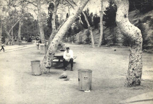 Robert Frank: Picnic Ground, Glendale, CA: Gravure Title: Picnic Ground, Glendale, CA Artist: Robert Frank Date: 1958 Medium: Vintage Sheet-fed Gravure Printer: France Image Size: 8 x 5 inches Robert Frank (b. 1924) is an American photographer