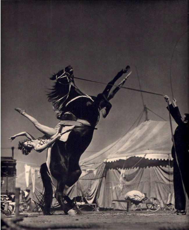 Lusha Nelson: Dorothy Herbert (1 of 1)