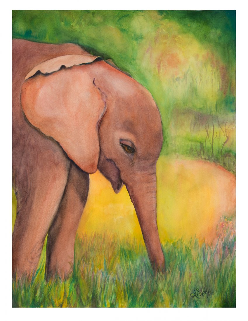 Liora Davis: Boromoko (DSWT) (1 of 1)