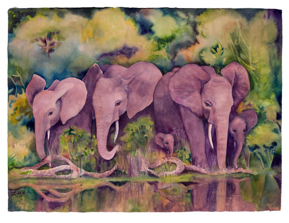 Liora Davis: Elephants Beachside at Dzanga Bai (ELP) (1 of 1)