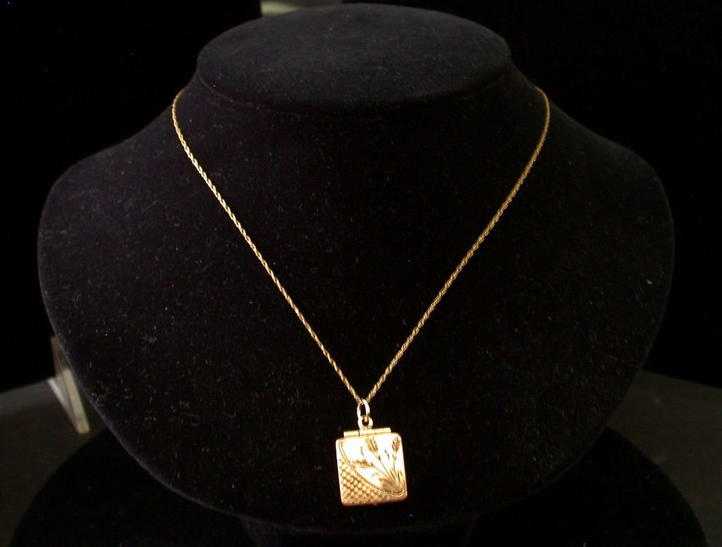 Aesthetic Movement 14K Gold-Topped Garnet Locket (1 of 4)