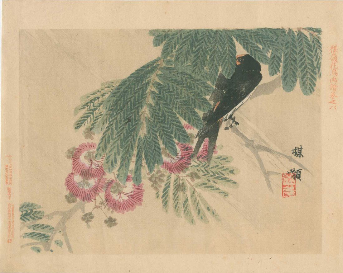 Kono Bairei: Barn Swallow and Mimosa, 1893 (1 of 2)