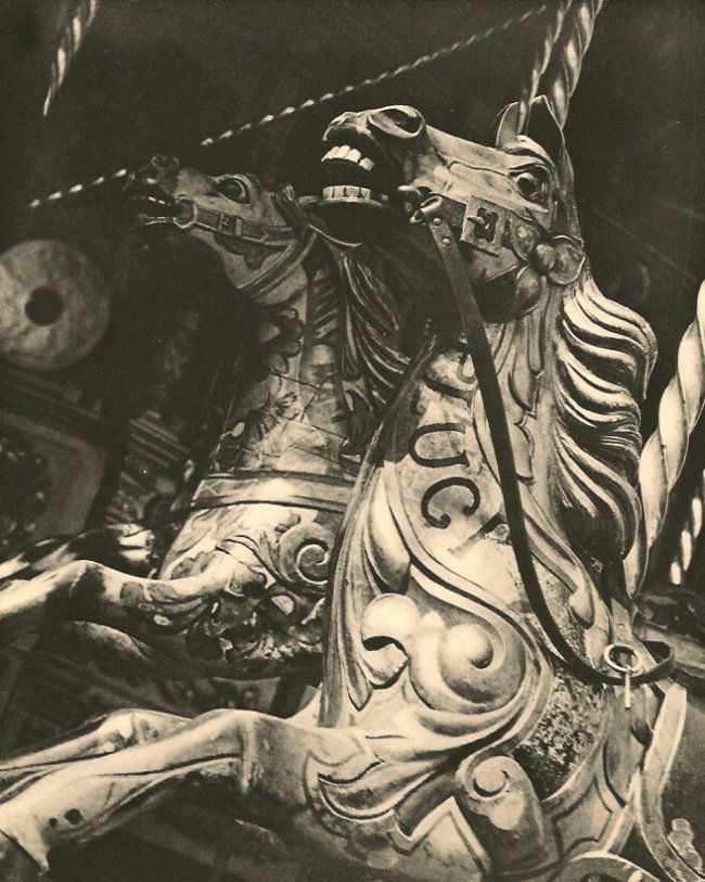 Greta Knight: Carousel Horses (1 of 1)