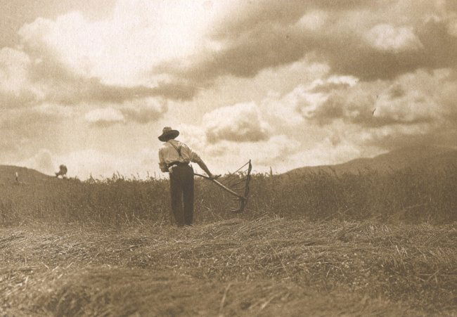 Arthur Scott: Harvest Time, Egremont, Pittsfield (1 of 1)