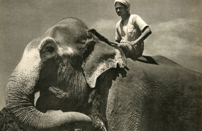 Lionel Wendt: A Leader in Sagacity (1 of 1)