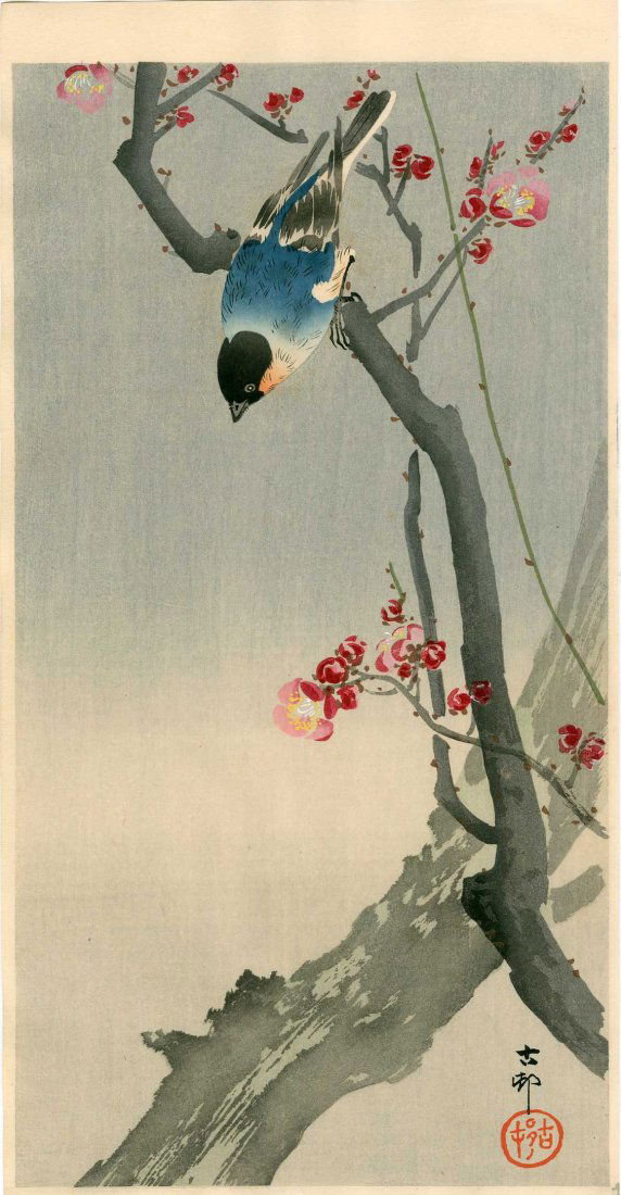 Ohara Koson: Bullfinch on Blossoming Plum Branch, 1930 (1 of 2)