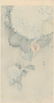 Ohara Koson: Sparrow and Hydrangea, 1930 - 2