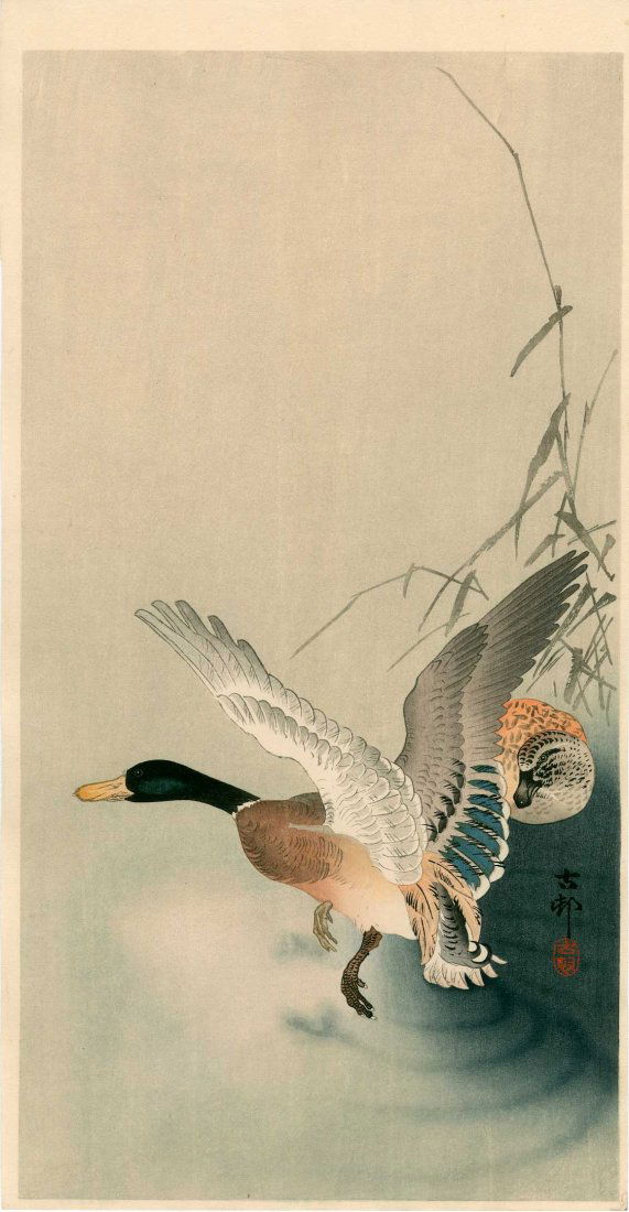 Ohara Koson: Mallard Ducks at Water's Edge, 1930 (1 of 2)