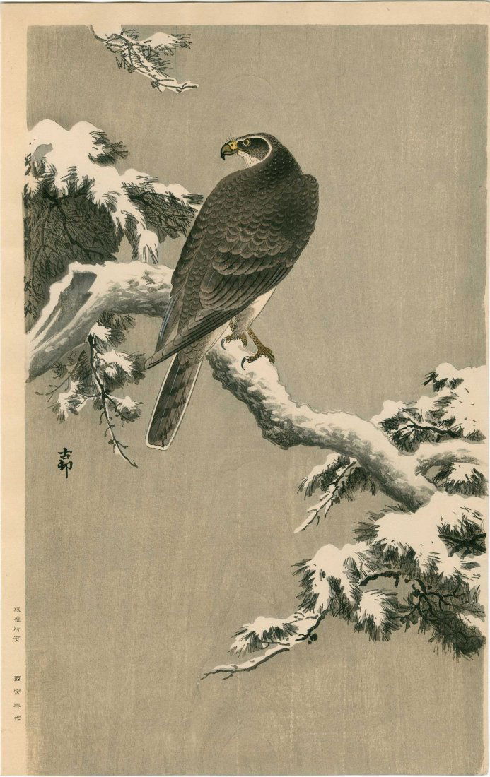Ohara Koson: Goshawk on a Snowy Branch, 1930 (1 of 2)